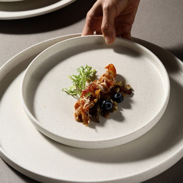 Matte Ceramic Dinner Plate White Round Spaghetti Pasta Fruit Dessert Steak Sushi Flat Serving Side Plate Restaurant Tableware